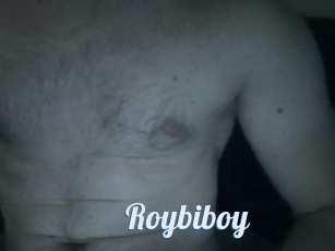 Roybiboy