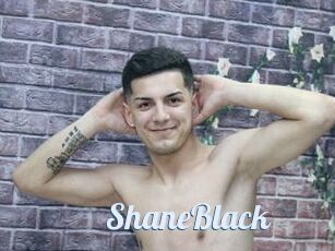 ShaneBlack