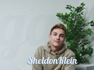 SheldonKlein