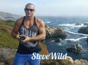 Steve_Wild