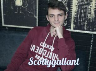 Scottygallant