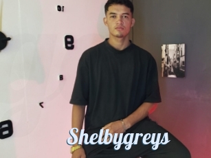 Shelbygreys