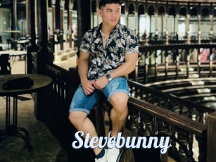 Stevebunny