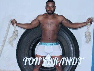 TONYBRANDT