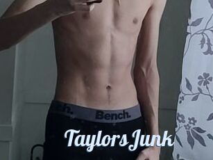 TaylorsJunk