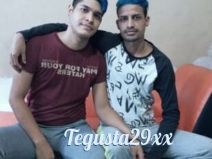 Tegusta29xx