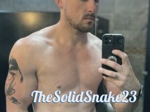 TheSolidSnake23