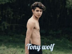 Tony_wolf