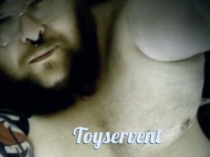 Toyservent