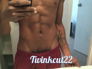 Twinkcut22