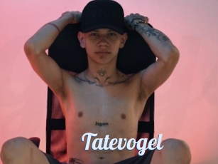 Tatevogel