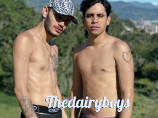 Thedairyboys