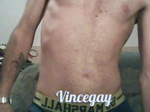 Vincegay