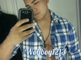 Wolfboy1213