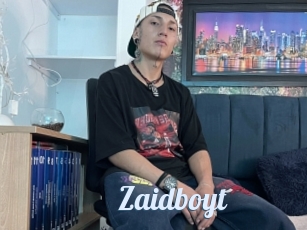 Zaidboyt